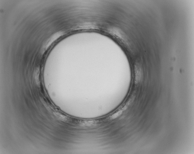 X0000070381162200606301914