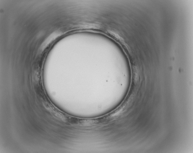 X0000070381163200606301914