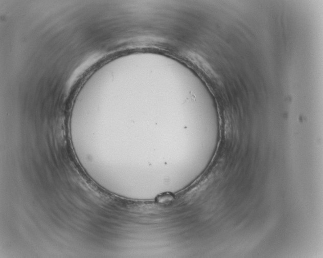 X0000070381164200606301914