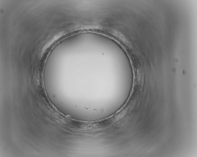 X0000070381165200606301914