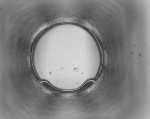 X0000070381166200606301914