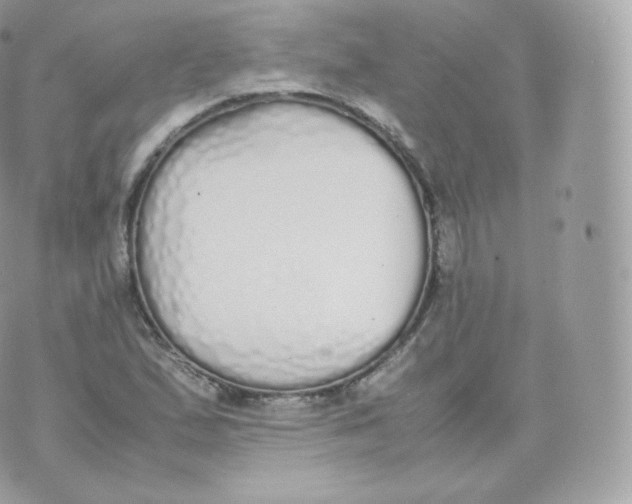 X0000070381167200606301914