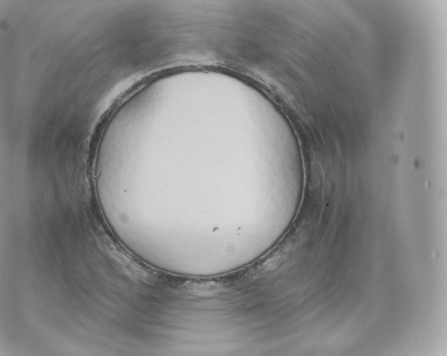 X0000070381168200606301914