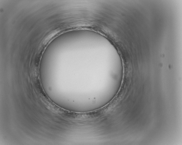 X0000070381169200606301914