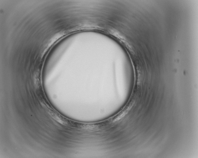 X0000070381170200606301914