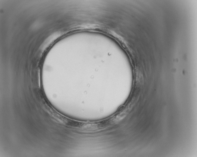 X0000070381171200606301914