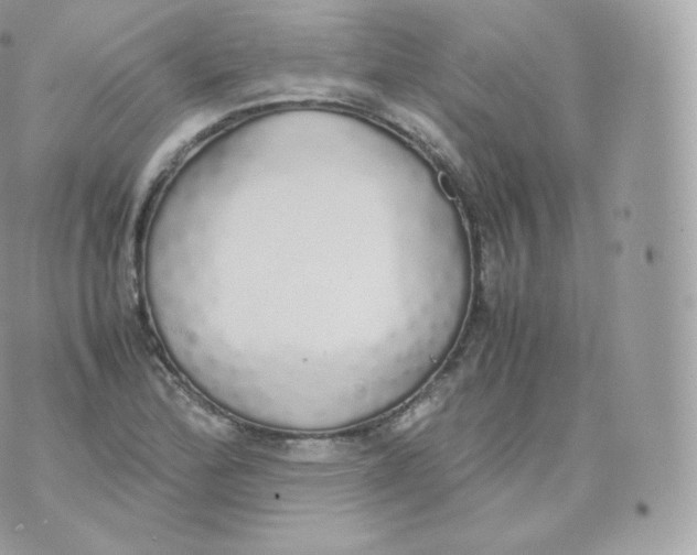 X0000070381172200606301914