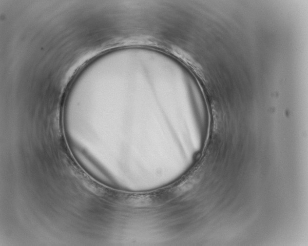 X0000070381174200606301914