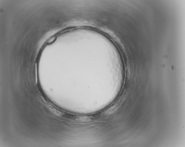 X0000070381175200606301914