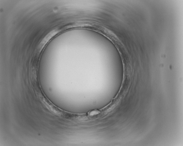 X0000070381177200606301914