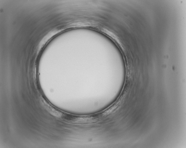 X0000070381179200606301914