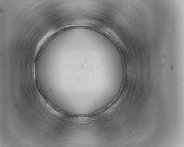 X0000070381180200606301914