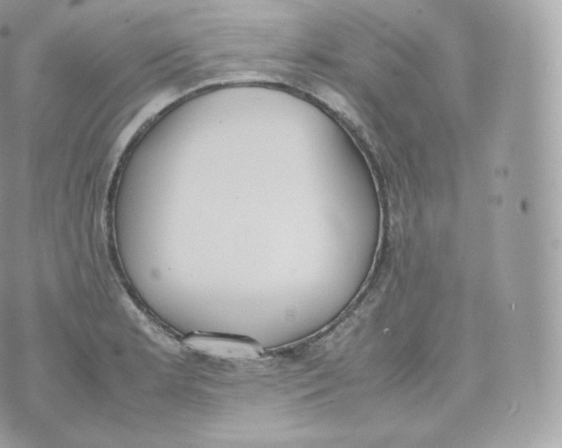 X0000070381181200606301914