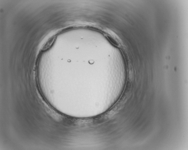 X0000070381183200606301914