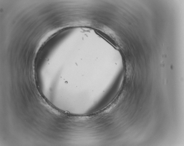 X0000070381184200606301914