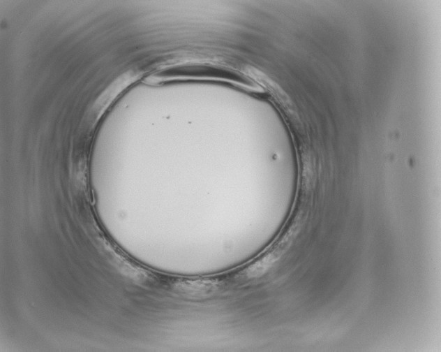 X0000070381185200606301914