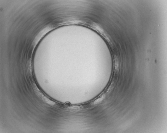 X0000070381186200606301914