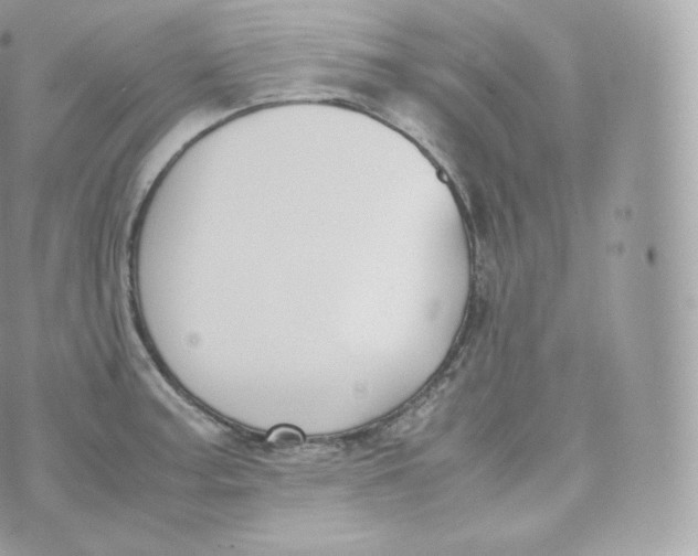 X0000070381187200606301914