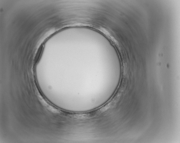 X0000070381189200606301913