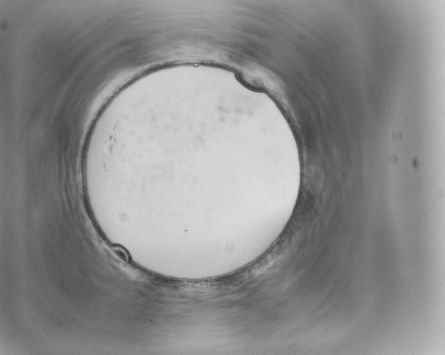 X0000070381191200606301913