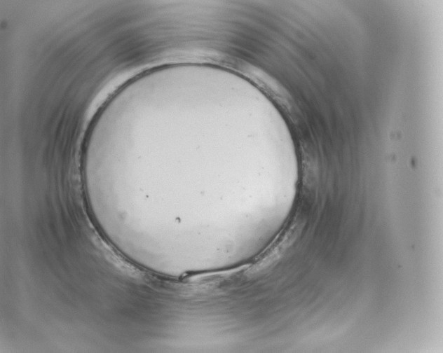 X0000070381192200606301913