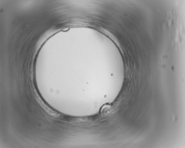 X0000070381195200606301913