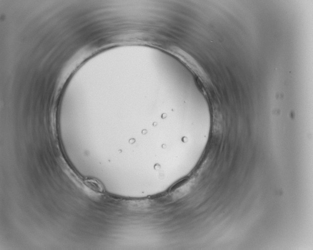 X0000070381196200606301913