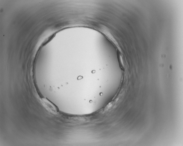 X0000070381197200606301913