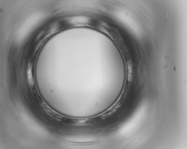 X0000070381198200606301913