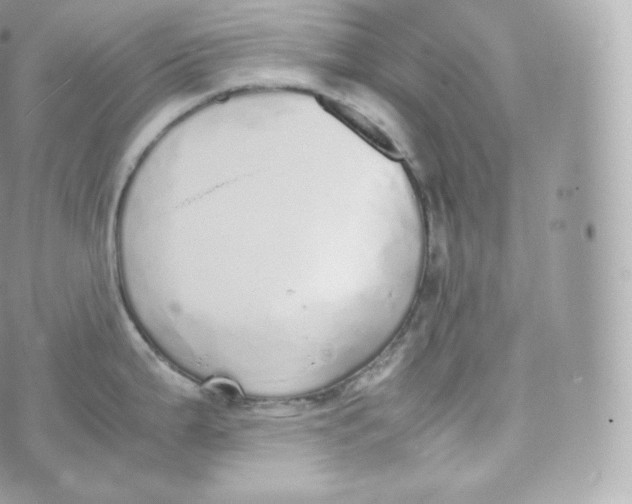 X0000070381199200606301913