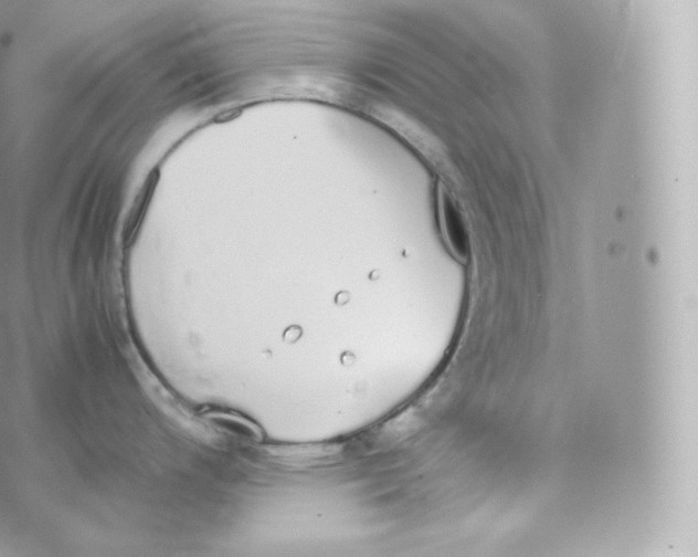 X0000070381200200606301913