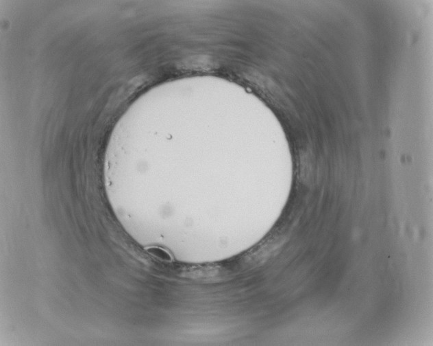 X0000070381201200606301913