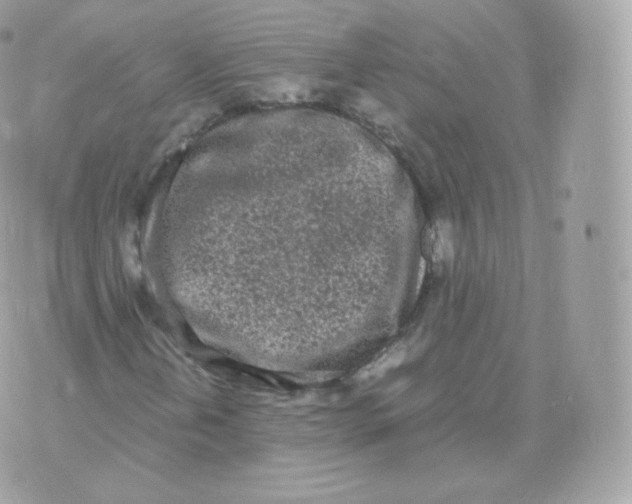 X0000070381202200606301913