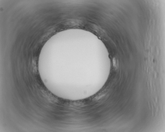 X0000070381203200606301913