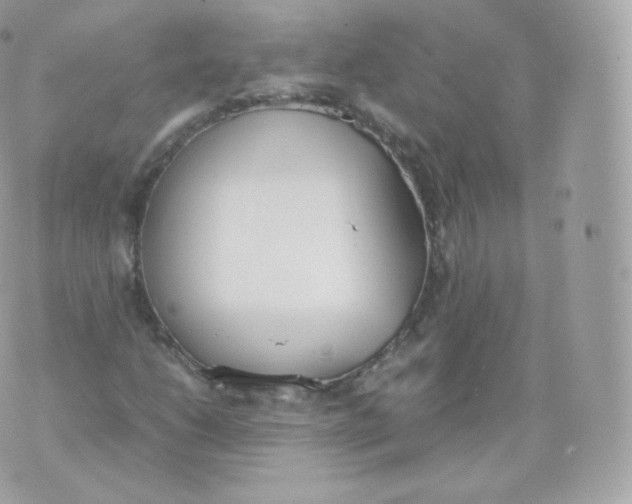 X0000070381206200606301913