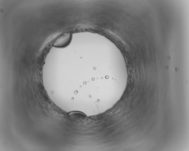 X0000070381207200606301913