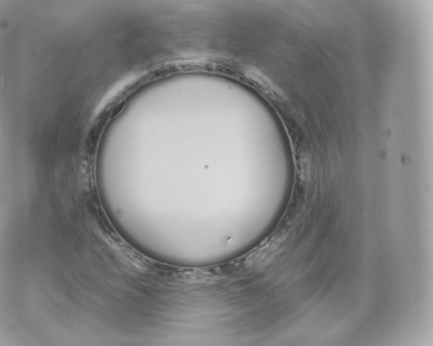 X0000070381208200606301913