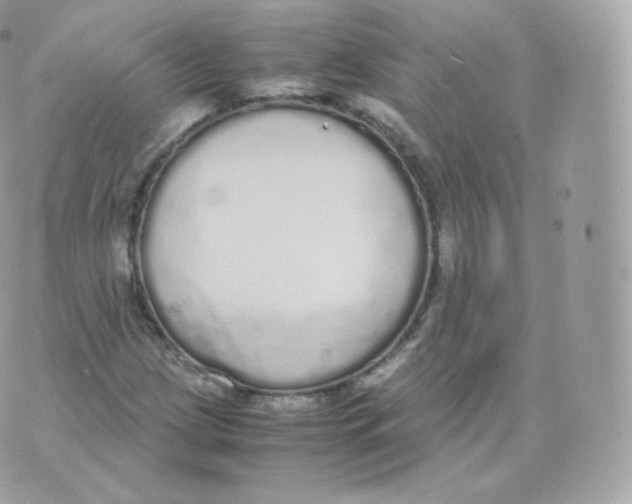 X0000070381209200606301913