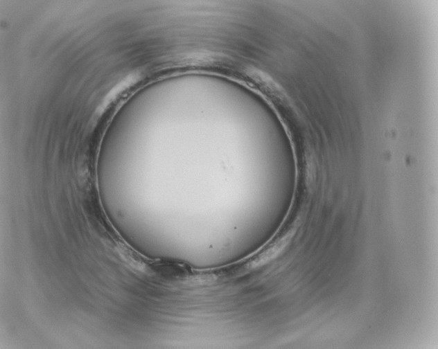 X0000070381210200606301913