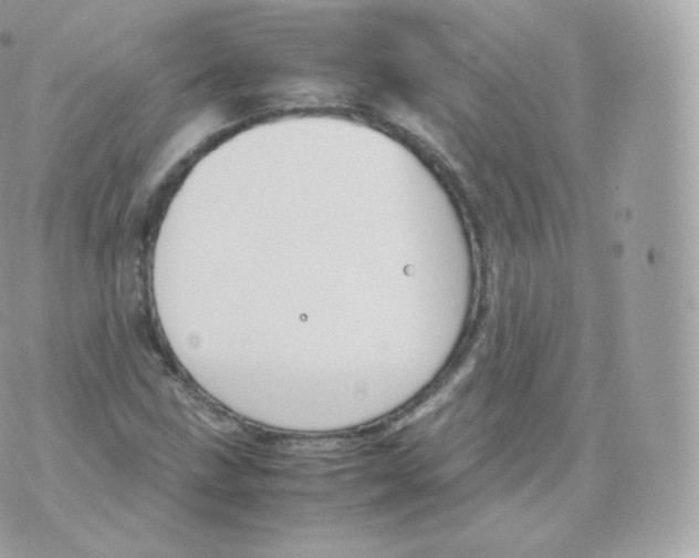 X0000070381211200606301913