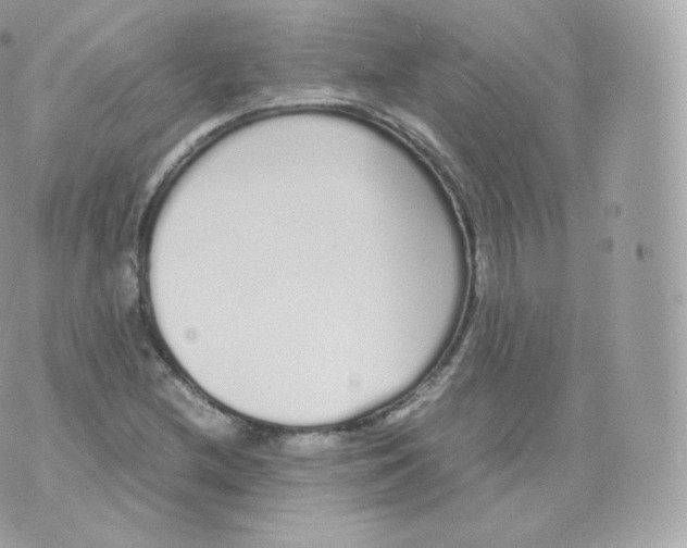 X0000070381212200606301913