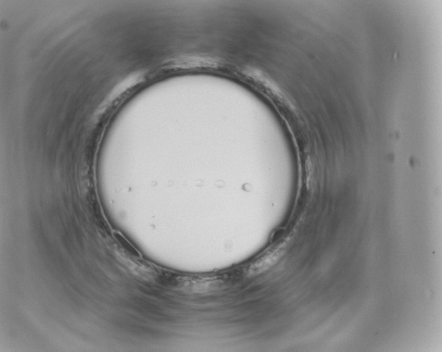 X0000070381213200606301913