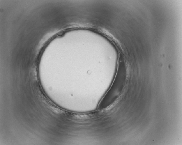 X0000070381215200606301913