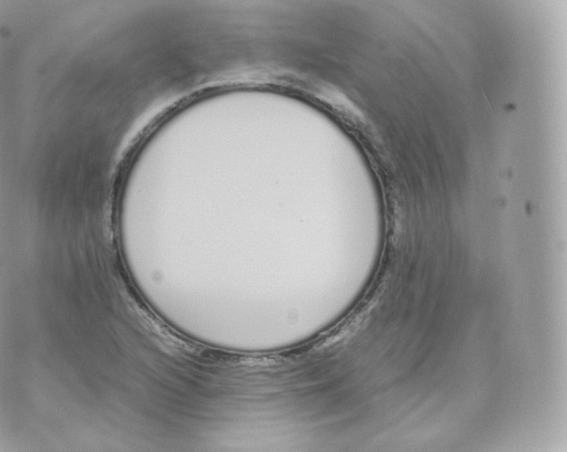 X0000070381216200606301913