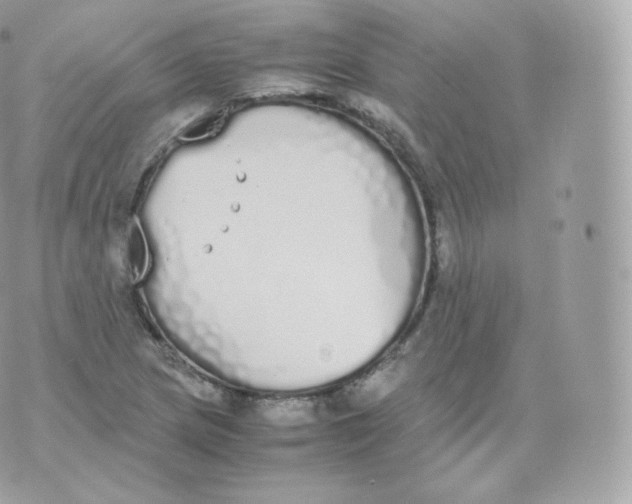 X0000070381217200606301913