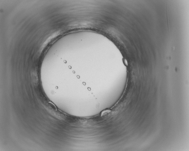 X0000070381218200606301913