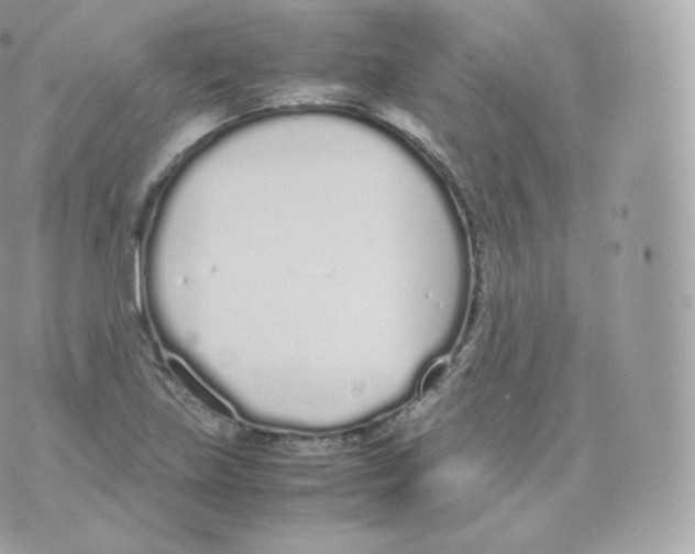 X0000070381219200606301913