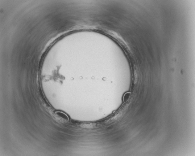 X0000070381220200606301913