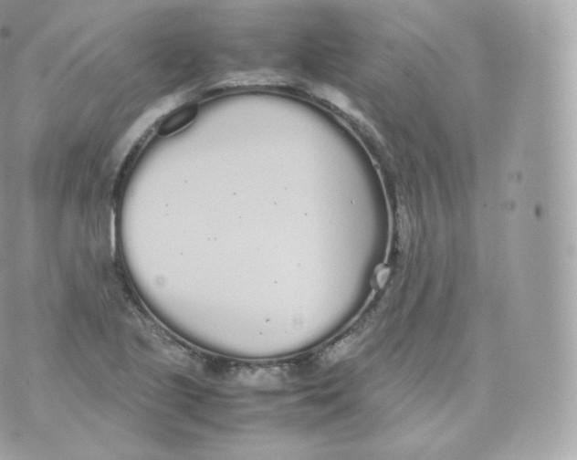 X0000070381221200606301913