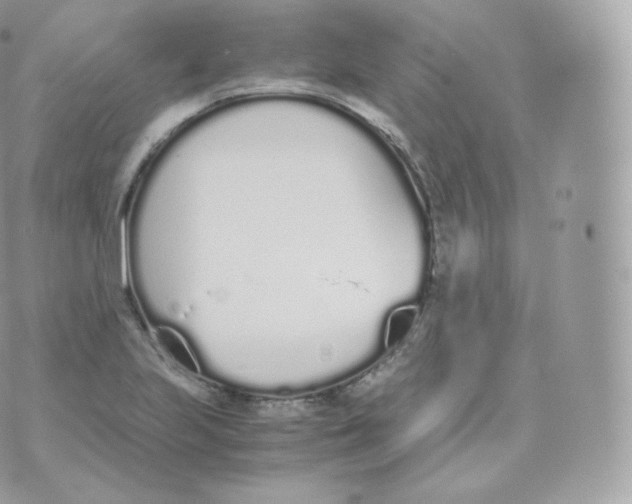 X0000070381223200606301913